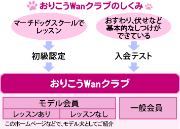 肱WanNû